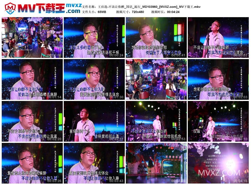 王应选-不该让你醉_国语_流行_MD103960